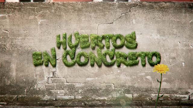 Pelicula Huertos en concreto, edición Alo Briones